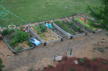 looking down at raised beds
