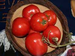 June 2008 Tomatoes