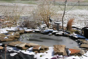 Frozen pond