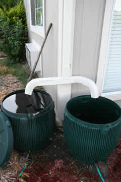 rain barrels