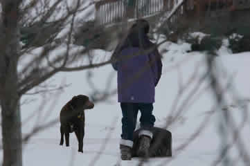 Ari and Hank shovel