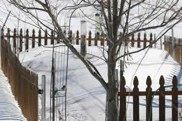 garden buried in snow