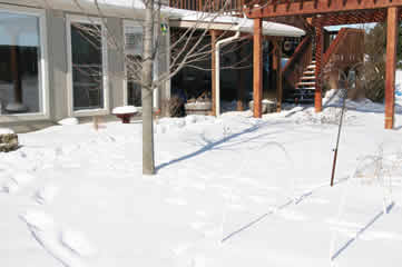 raised beds covered by snow