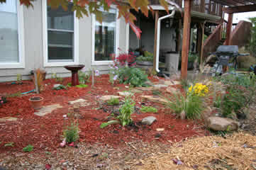 butterfly garden mid-Oct