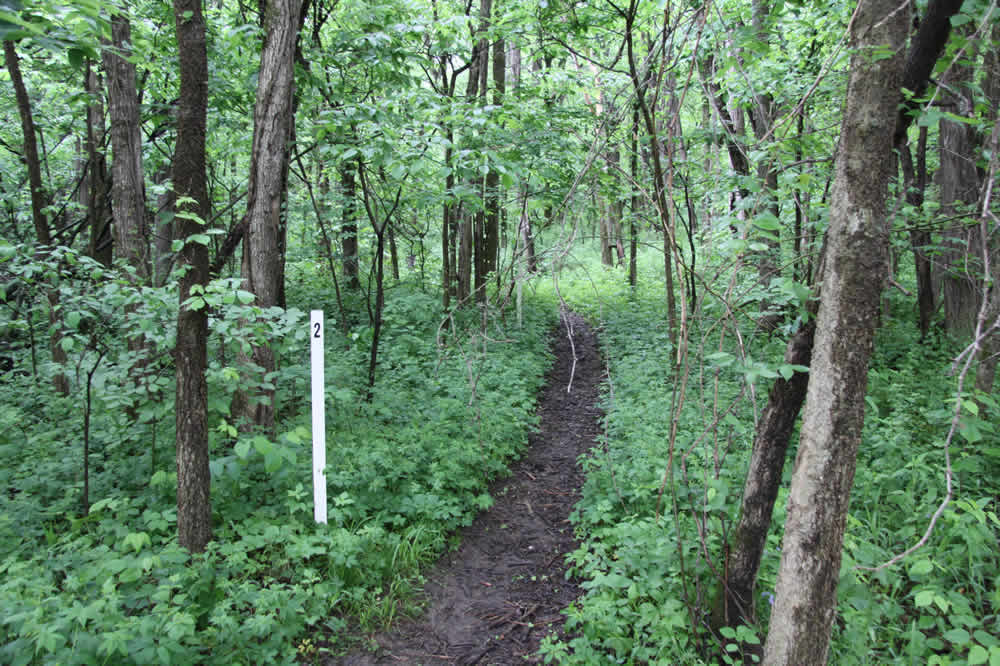 Baker University Nature Trail