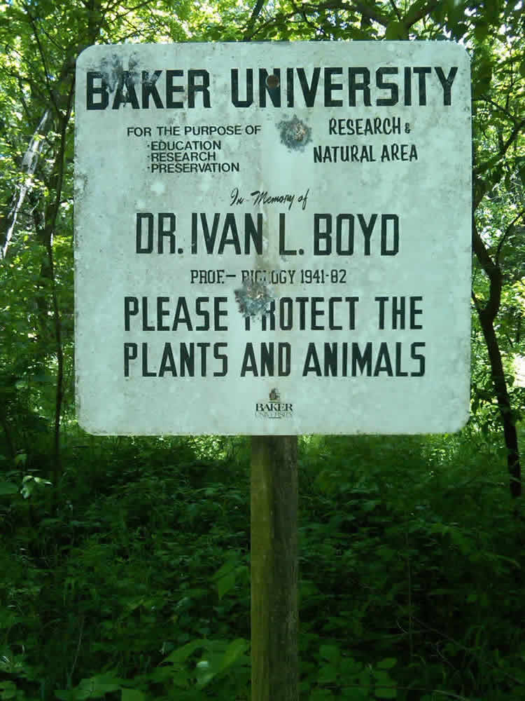 Boyd Sign on Signal Oak Hill
