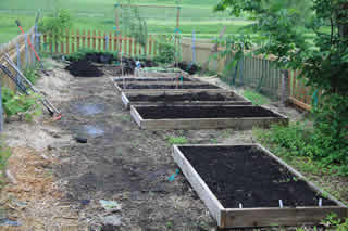 Raised Beds