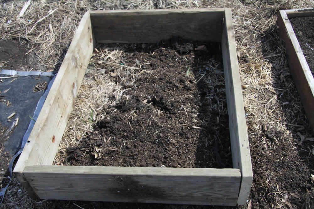 simple raised bed