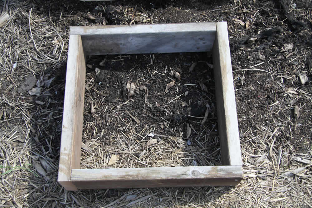 simple raised bed 2