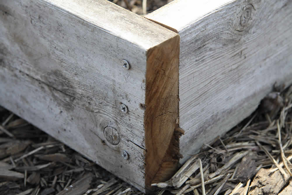 basic corner of a raised bed