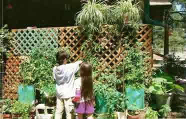 children in garden