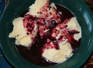 Wojabi Ice-Cream Topping