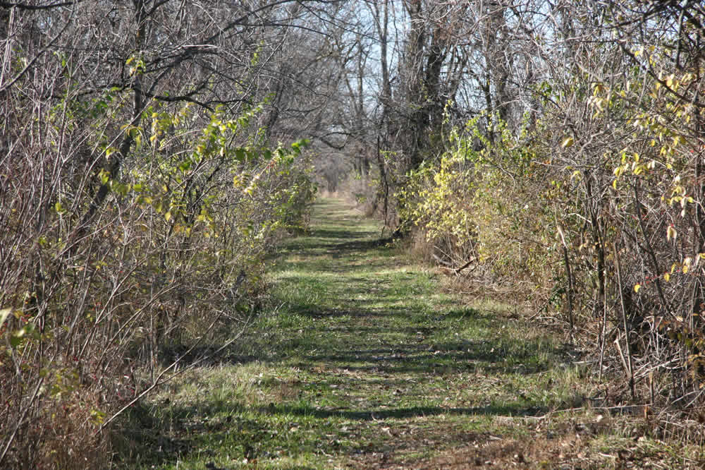 wetlands trails