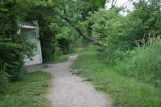 kiosk wetlands