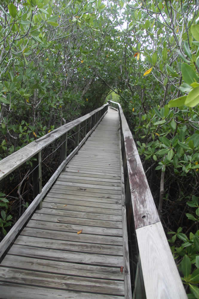 boardwalk las cabezas