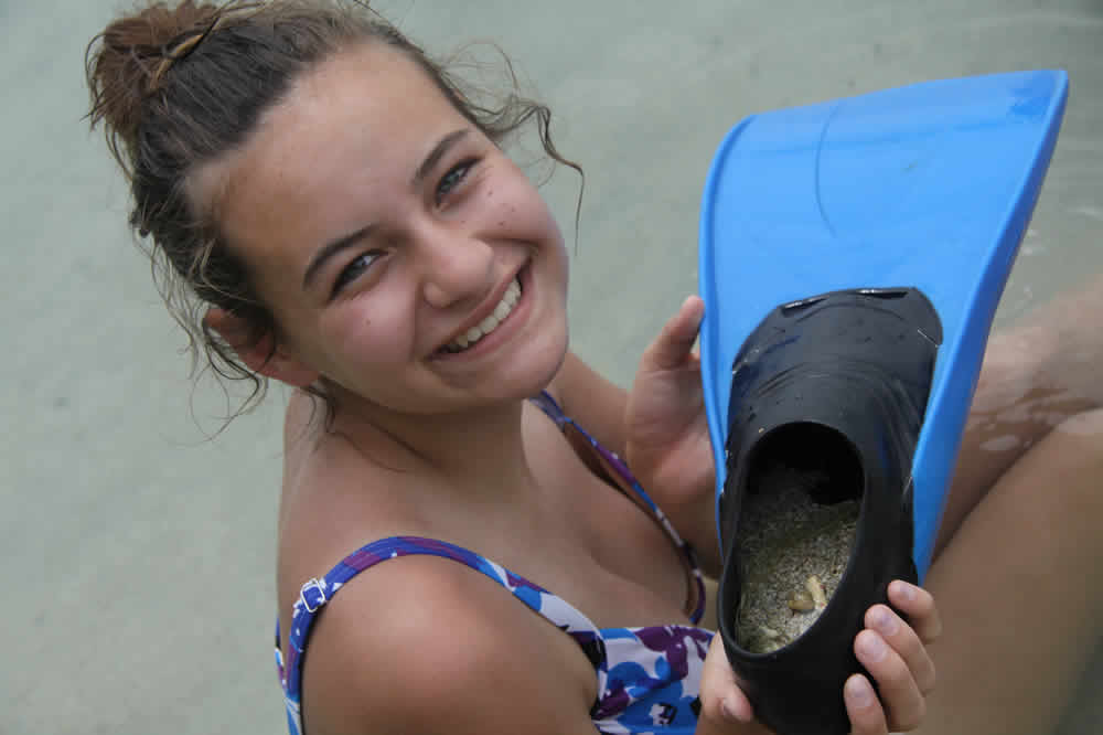 Ari and hermit crabs